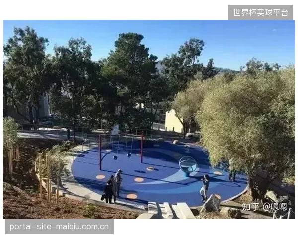 超越压力与流量：未来体育场馆的给水标准将更关注水温的快速响应与无障碍设施的用水便利性，考验数据调度的末端细节
